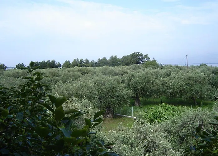 Appartement Xanthoula Skala Rachoni (Thasos)